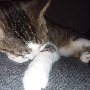 Meet your Posher, Emma